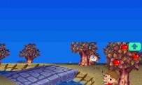 Animal Crossing : Wild World