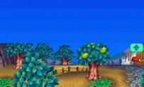 Animal Crossing : Wild World