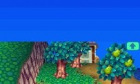 Animal Crossing : Wild World