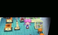 Animal Crossing : Wild World