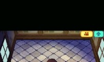 Animal Crossing : Wild World