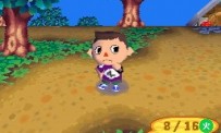 Animal Crossing : Wild World