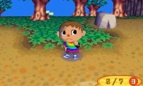 Animal Crossing : Wild World