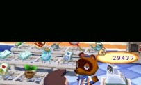 Animal Crossing : Wild World