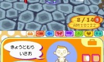 Animal Crossing : Wild World
