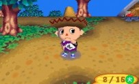 Animal Crossing : Wild World