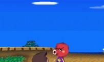 Animal Crossing : Wild World