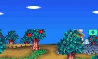 Animal Crossing : Wild World