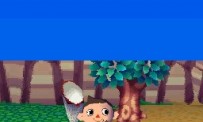 Animal Crossing : Wild World