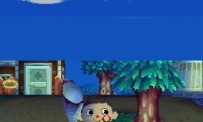 Animal Crossing : Wild World