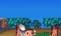 Animal Crossing : Wild World