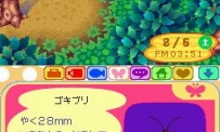 Animal Crossing : Wild World