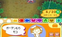 Animal Crossing : Wild World