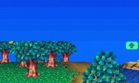 Animal Crossing : Wild World