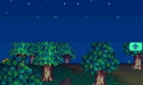 Animal Crossing : Wild World