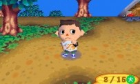 Animal Crossing : Wild World