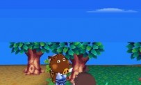 Animal Crossing : Wild World