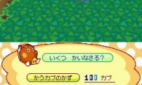 Animal Crossing : Wild World