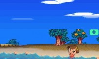 Animal Crossing : Wild World