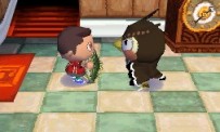 Animal Crossing : Wild World