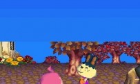 Animal Crossing : Wild World