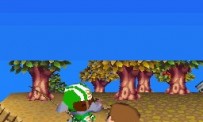 Animal Crossing : Wild World