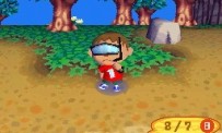 Animal Crossing : Wild World