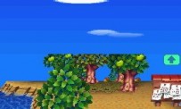 Animal Crossing : Wild World