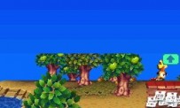 Animal Crossing : Wild World