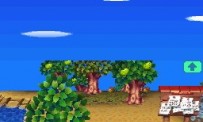 Animal Crossing : Wild World