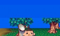 Animal Crossing : Wild World