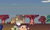 Animal Crossing : Wild World