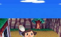 Animal Crossing : Wild World