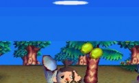 Animal Crossing : Wild World