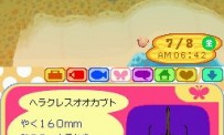 Animal Crossing : Wild World