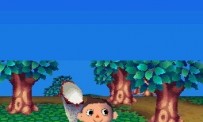 Animal Crossing : Wild World