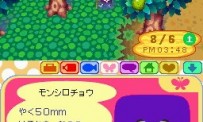 Animal Crossing : Wild World