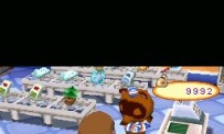 Animal Crossing : Wild World