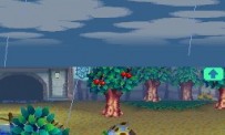 Animal Crossing : Wild World