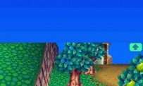 Animal Crossing : Wild World