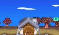 Animal Crossing : Wild World