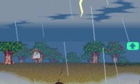 Animal Crossing : Wild World