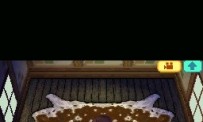 Animal Crossing : Wild World