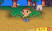 Animal Crossing : Wild World