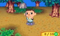 Animal Crossing : Wild World