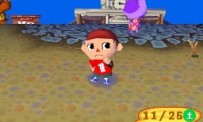 Animal Crossing : Wild World