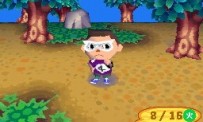 Animal Crossing : Wild World