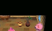 Animal Crossing : Wild World