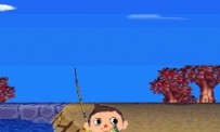 Animal Crossing : Wild World