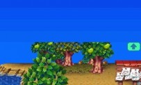 Animal Crossing : Wild World